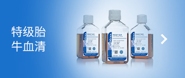 聆岸 特級胎牛血清